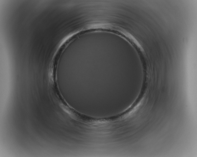 X0000114580830200910191521