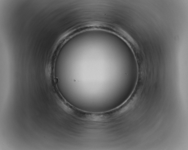 X0000114580831200910191521