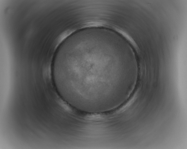 X0000114580834200910191521