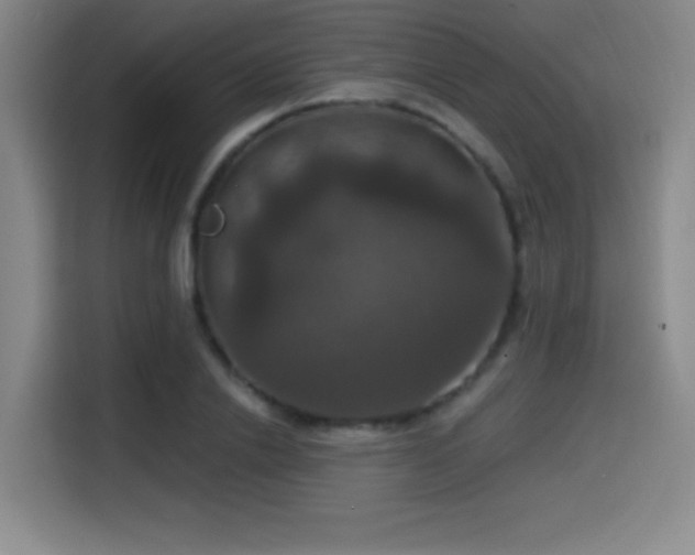 X0000114580838200910191521