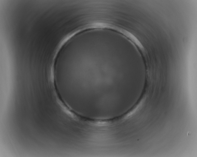 X0000114580839200910191521