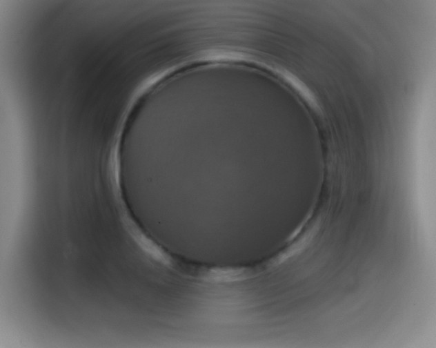 X0000114580840200910191521