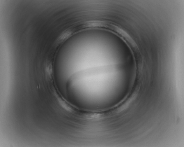 X0000114580841200910191521