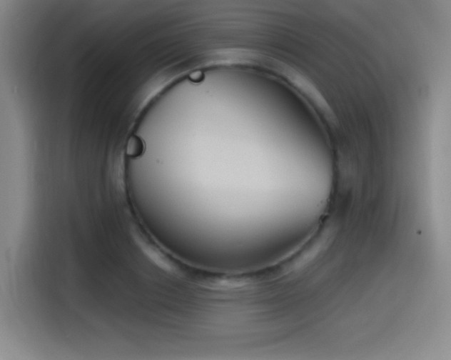 X0000114580842200910191521