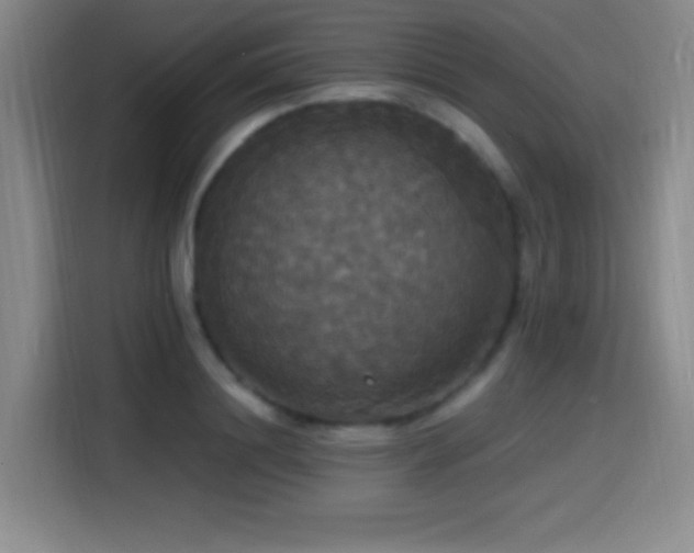 X0000114580844200910191521