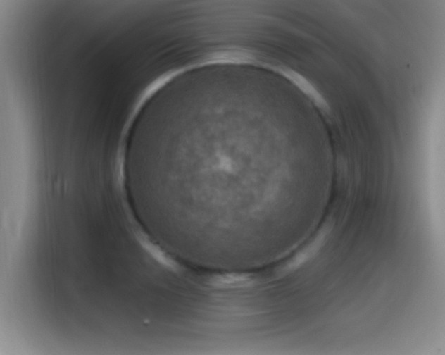 X0000114580846200910191522