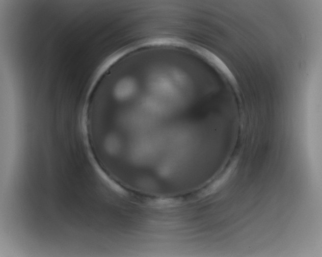 X0000114580847200910191522