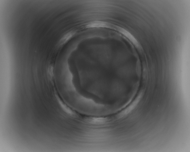 X0000114580849200910191522