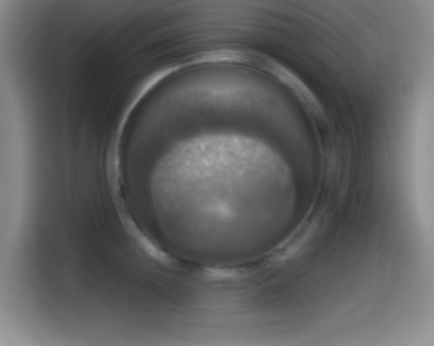 X0000114580852200910191522