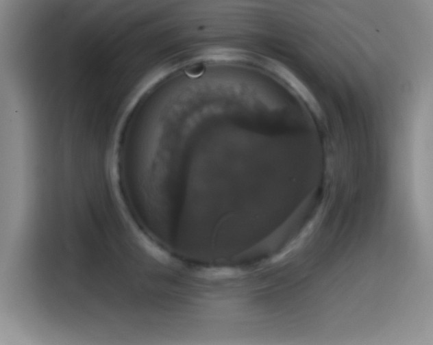 X0000114580853200910191522