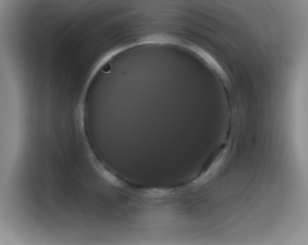 X0000114580854200910191522