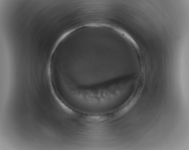 X0000114580855200910191522