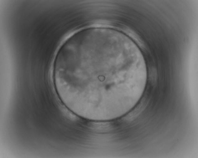 X0000114580856200910191522