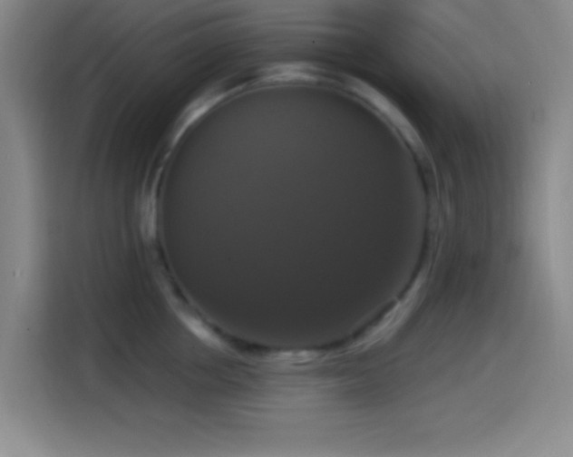 X0000114580858200910191522