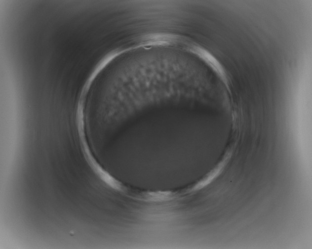 X0000114580859200910191522