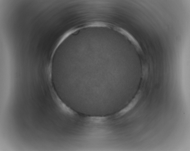 X0000114580860200910191522