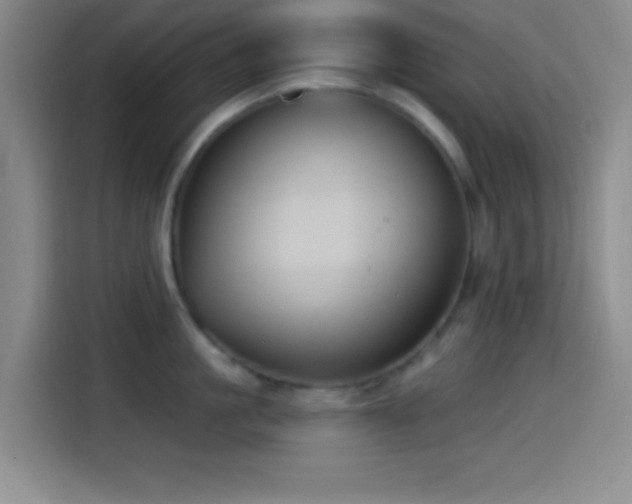 X0000114580861200910191522