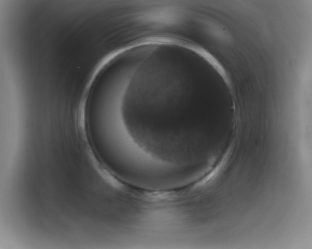 X0000114580862200910191522