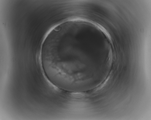 X0000114580863200910191522