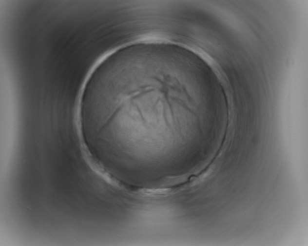 X0000114580864200910191522