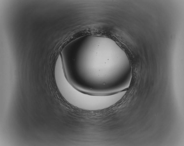 X0000114580865200910191521