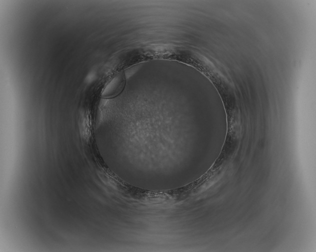 X0000114580866200910191521