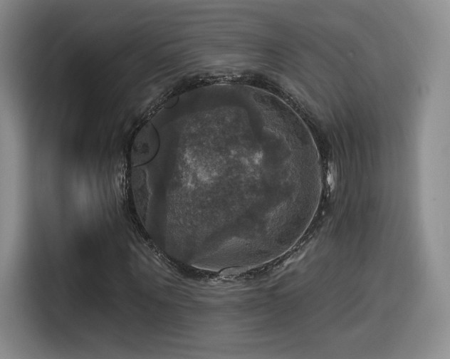 X0000114580867200910191521