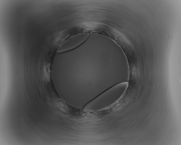 X0000114580868200910191521