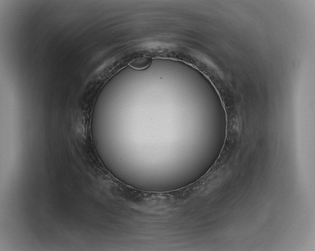 X0000114580869200910191521