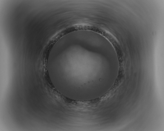 X0000114580870200910191521