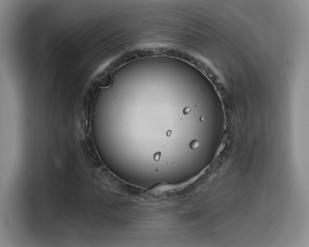 X0000114580871200910191521