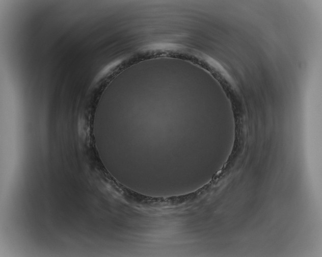 X0000114580872200910191521