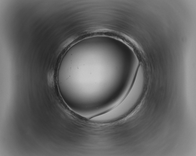 X0000114580873200910191521