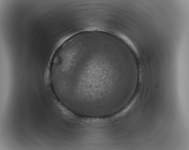 X0000114580876200910191521