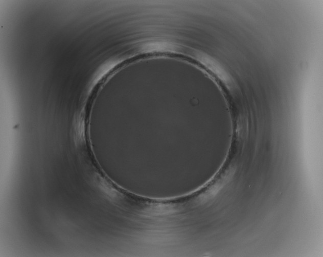 X0000114580877200910191521