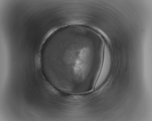 X0000114580878200910191521