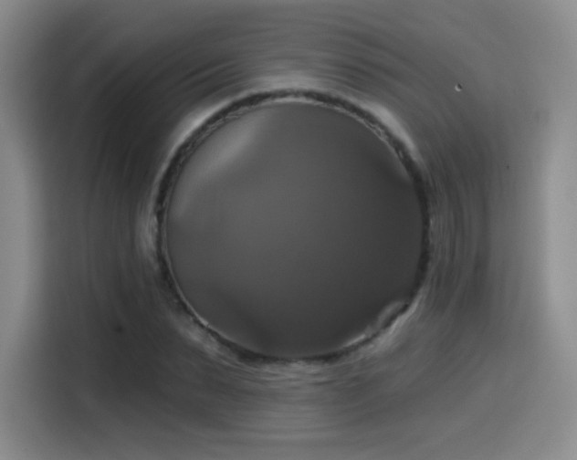 X0000114580879200910191521