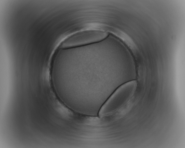 X0000114580880200910191521