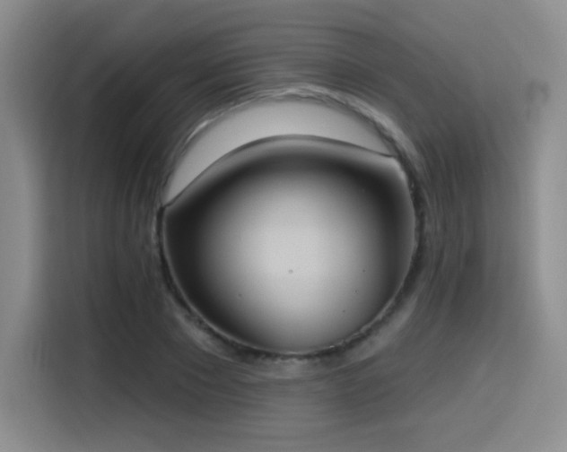 X0000114580881200910191521