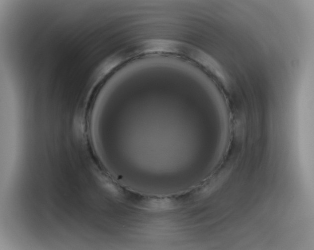 X0000114580882200910191521