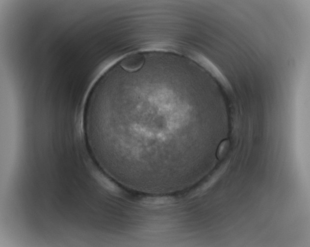 X0000114580884200910191521