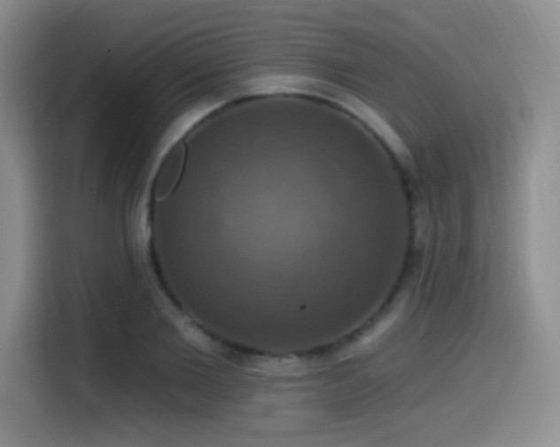 X0000114580885200910191521