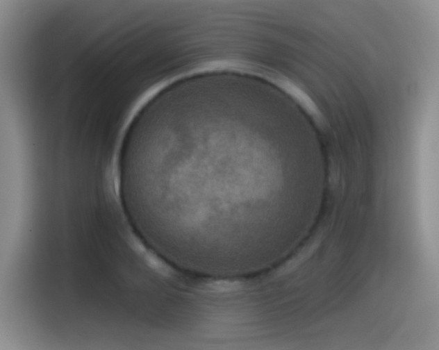 X0000114580888200910191521