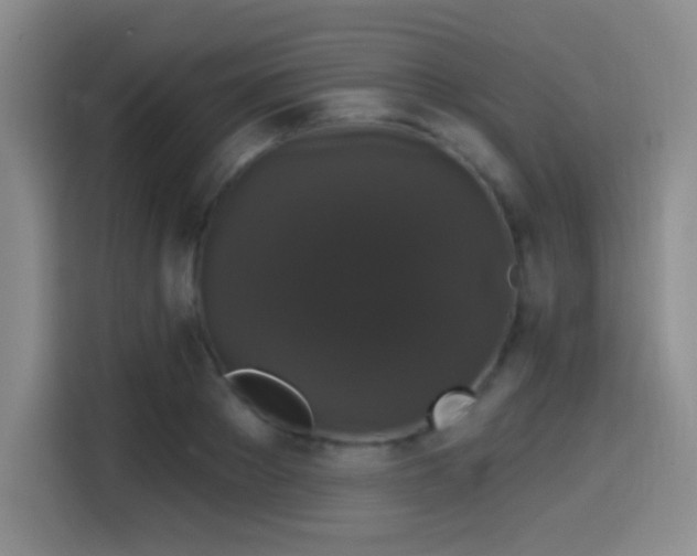 X0000114580889200910191521