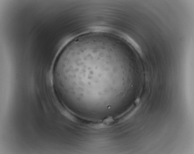 X0000114580891200910191521