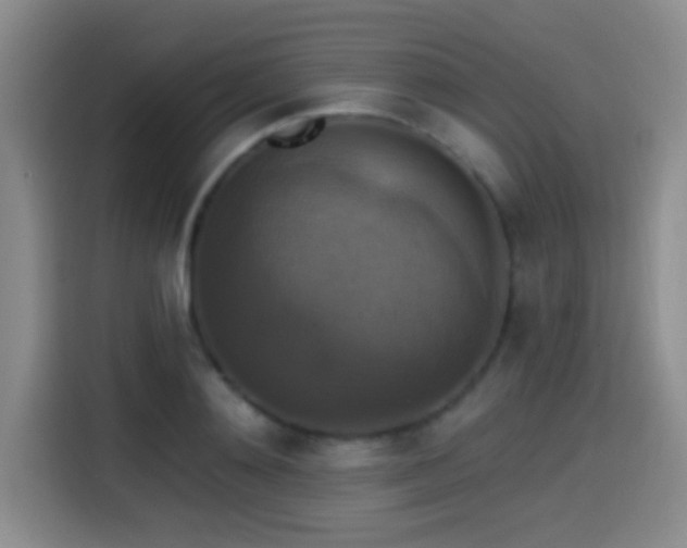 X0000114580892200910191521