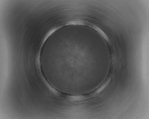 X0000114580893200910191521