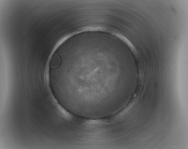 X0000114580894200910191521