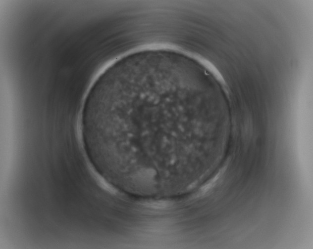 X0000114580895200910191521