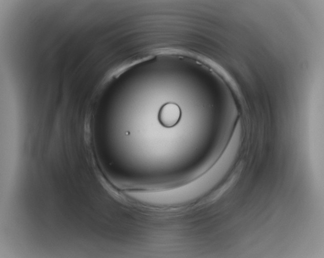 X0000114580897200910191521